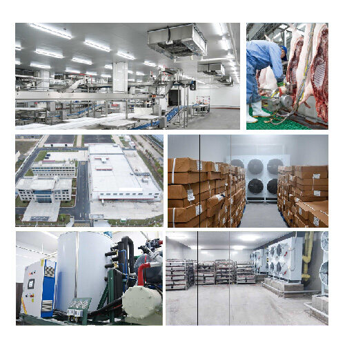 Meat Slaughter Cold Storage