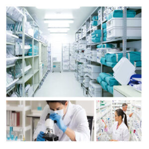 GMP Food & Drug Cold Storage