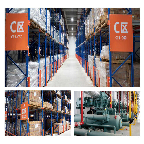 Cold Chain Cold Storage