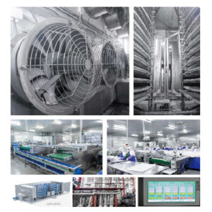 Double Spiral Freezer